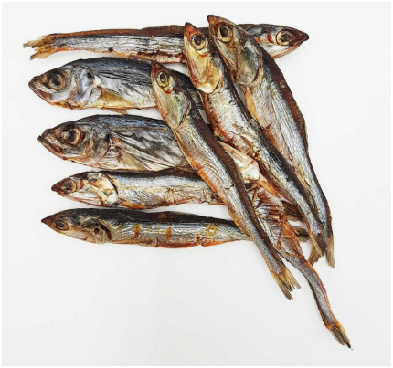 Pack Snacks Naturales para Perros Jóvenes