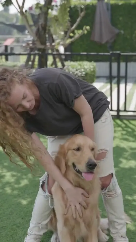 Un perro recibe una caricia de su persona en el jardín